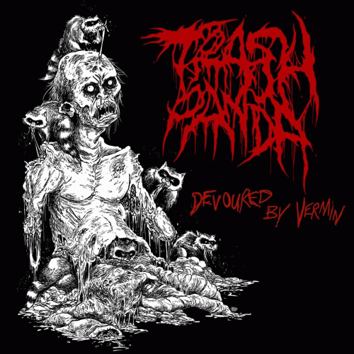 Trash Panda : Devoured by Vermin